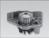 Citroen Jumper Vízpumpa | Hepu P961